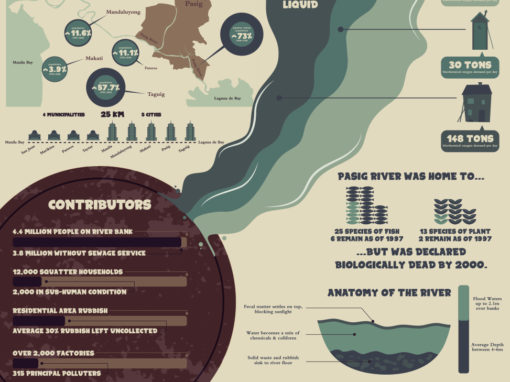 Infographic