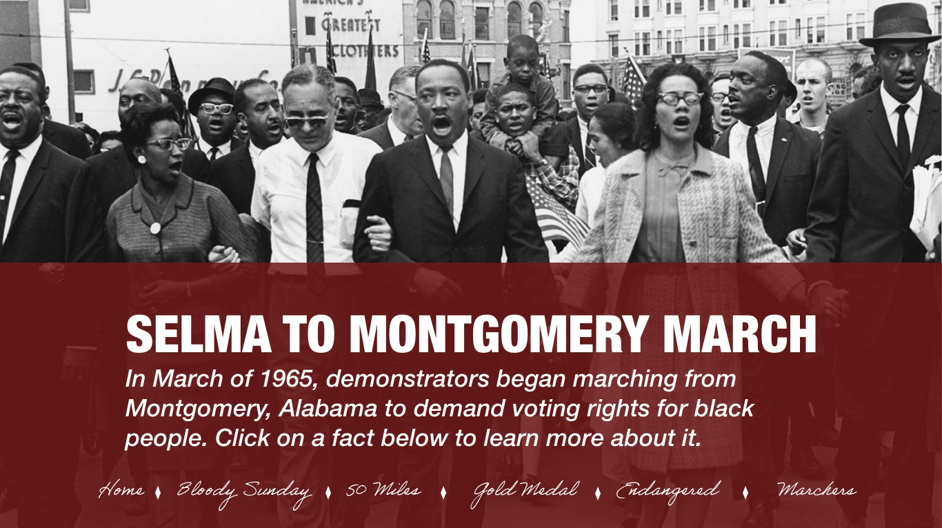 One-page Protest Website